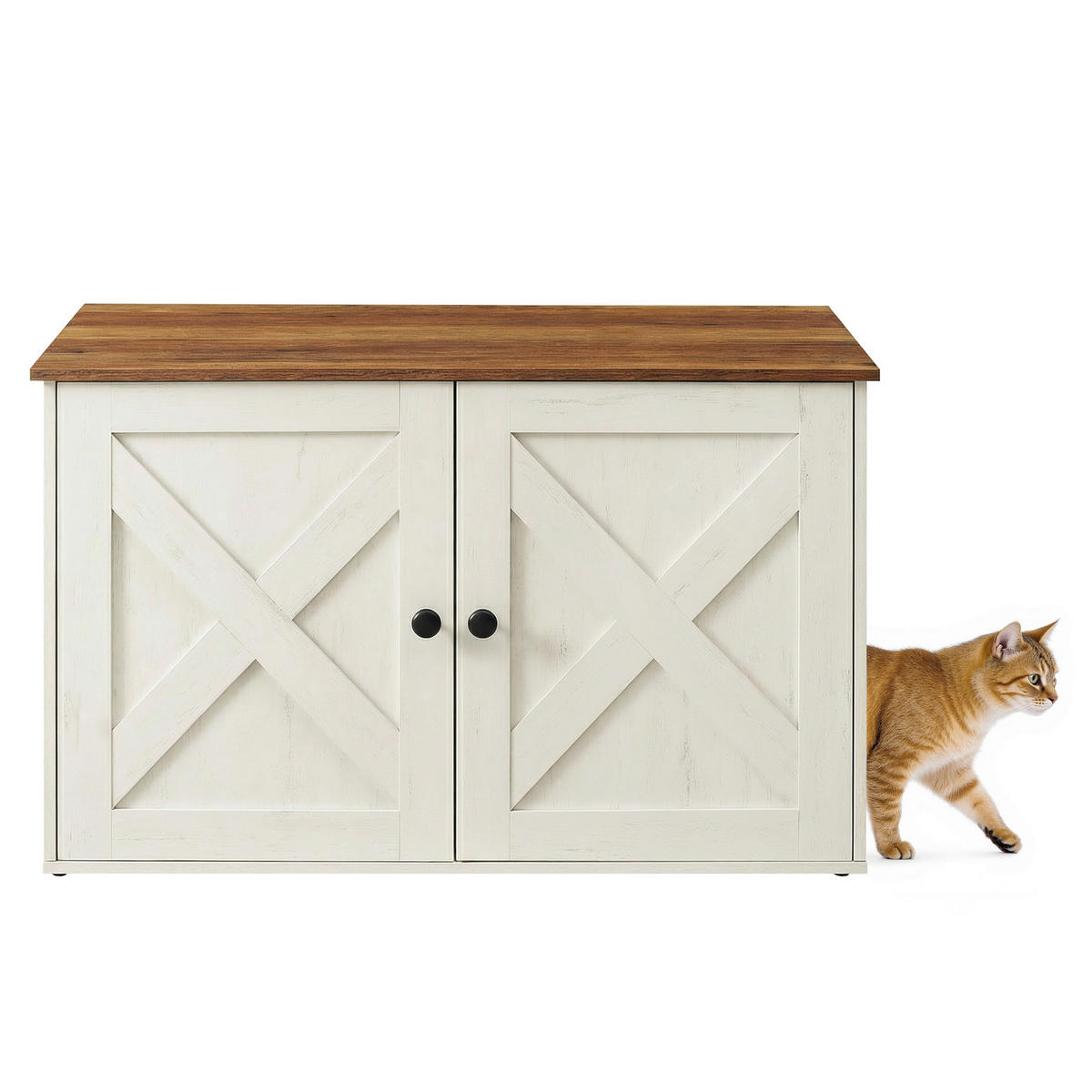 KATZENTOILETTE - Braun/Weiß, Trend, Holzwerkstoff (80/50/53cm) - Boxxx