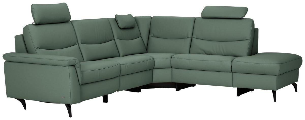 ECKSOFA  in Echtleder Waldgrün  280/249 cm  - Waldgrün/Anthrazit, Design, Leder/Metall (280/249cm) - Himolla Komfortklass