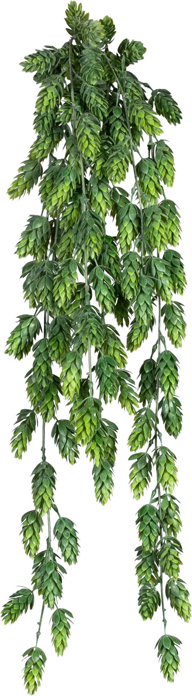 KUNSTPFLANZE Hopfen 75 cm  - Grün, Design, Kunststoff (75cm) - P & B