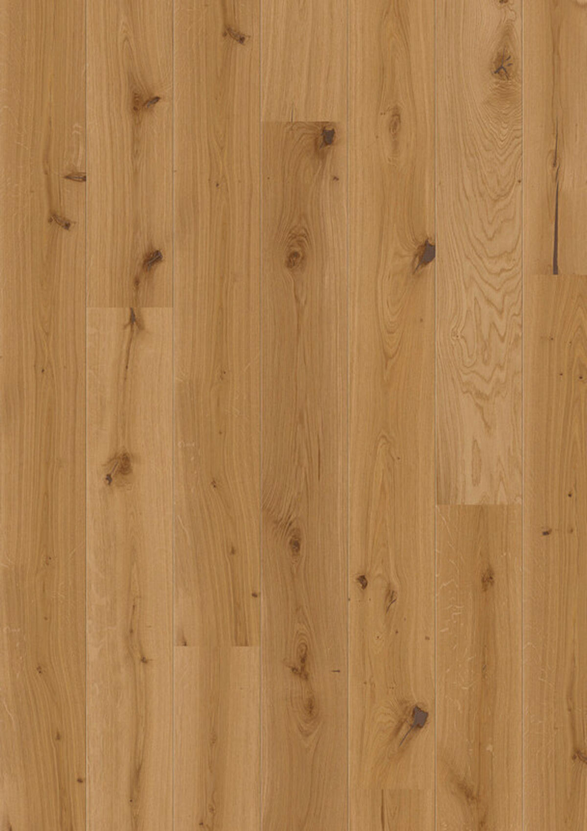 LANDHAUSDIELE Marcanto Trend Eiche Natur Alpin 100011301  per  m² - Eichefarben, Trend, Holz (220,5/17,6/1,3cm) - Tilo