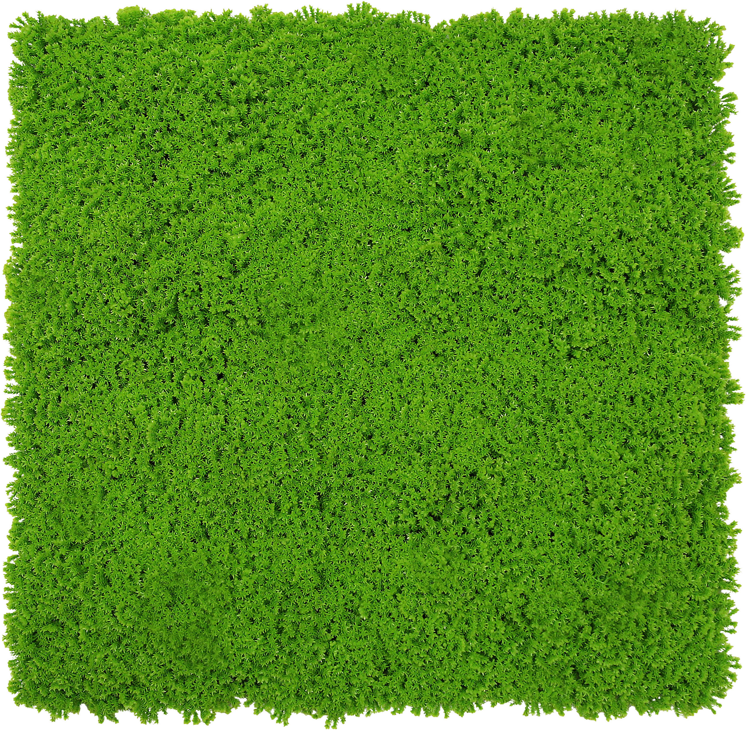 AKUSTIKPANEEL Modular Wall System Design Moos 52/52/2,2 cm  - Hellgrün, KONVENTIONELL, Kunststoff (52/52/2,2cm) - Jangal