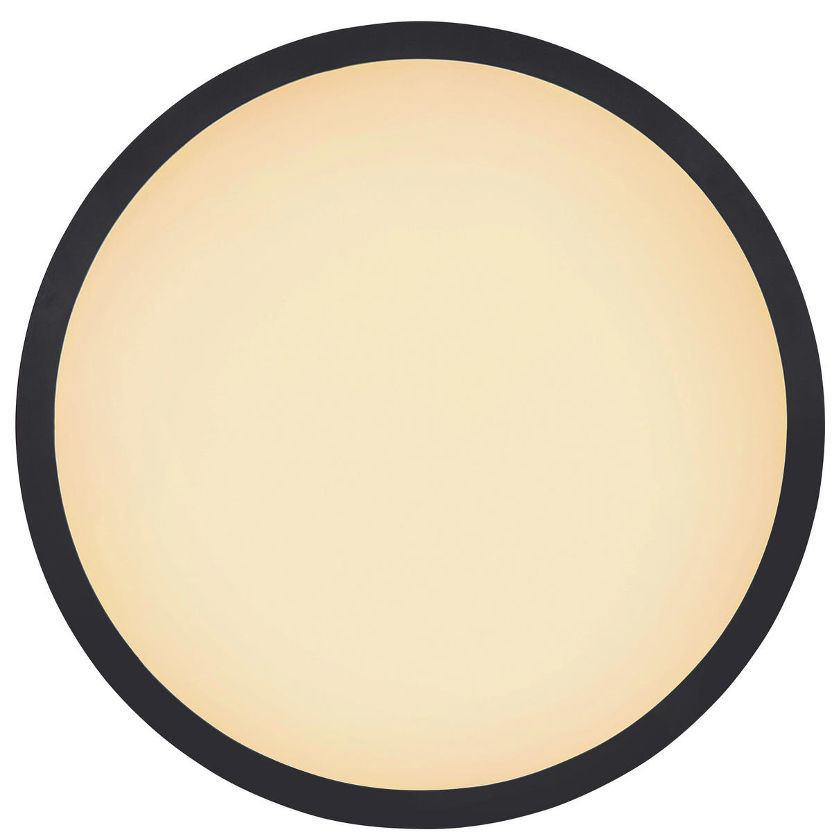 LED-DECKENLEUCHTE - Opal/Schwarz, Basics, Kunststoff (42/2,5cm) - Globo