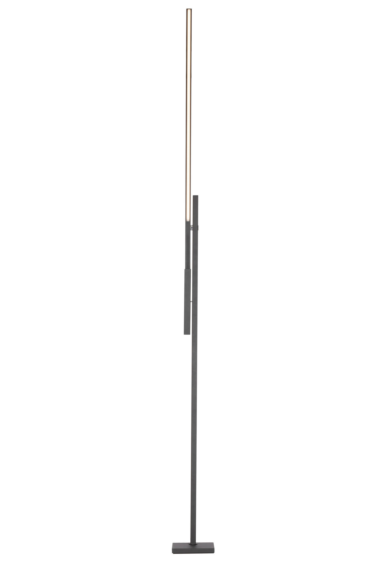 LED-STEHLEUCHTE 27-150/19/162-248 cm    - Schwarz, Design, Metall (27-150/19/162-248cm) - Dieter Knoll