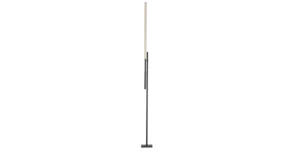 LED-STEHLEUCHTE 27-150/19/162-248 cm - Schwarz, Design, Metall (27-150/19/162-248cm) - Dieter Knoll