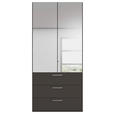 DREHTÜRENSCHRANK 101/223/61 cm,  in Graphitfarben, 2-türig  - Chromfarben/Edelstahlfarben, Basics, Glas/Holzwerkstoff (101/223/61cm) - Novel