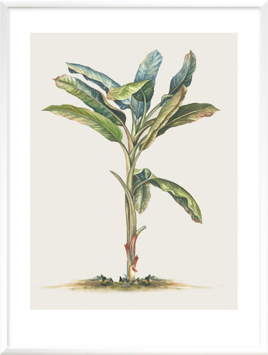 KUNSTDRUCK Stillleben, Blumen 30/42 cm  - Grün, Basics, Papier (30/42cm) - Monee