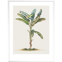 KUNSTDRUCK Stillleben, Blumen 30/42 cm  - Grün, Basics, Papier (30/42cm) - Monee