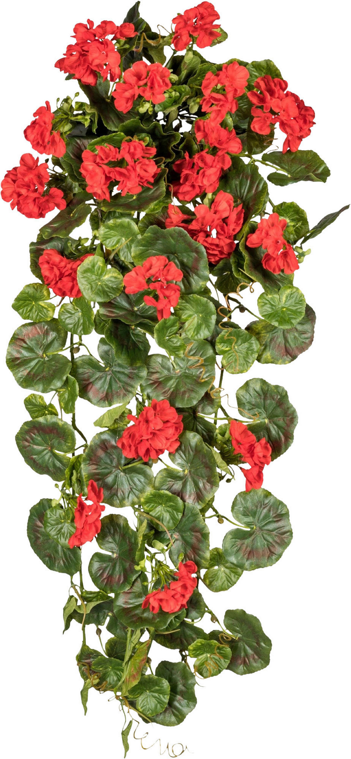 KUNSTPFLANZE Geranie 80 cm  - Rot/Grün, Design, Kunststoff (80cm) - P & B