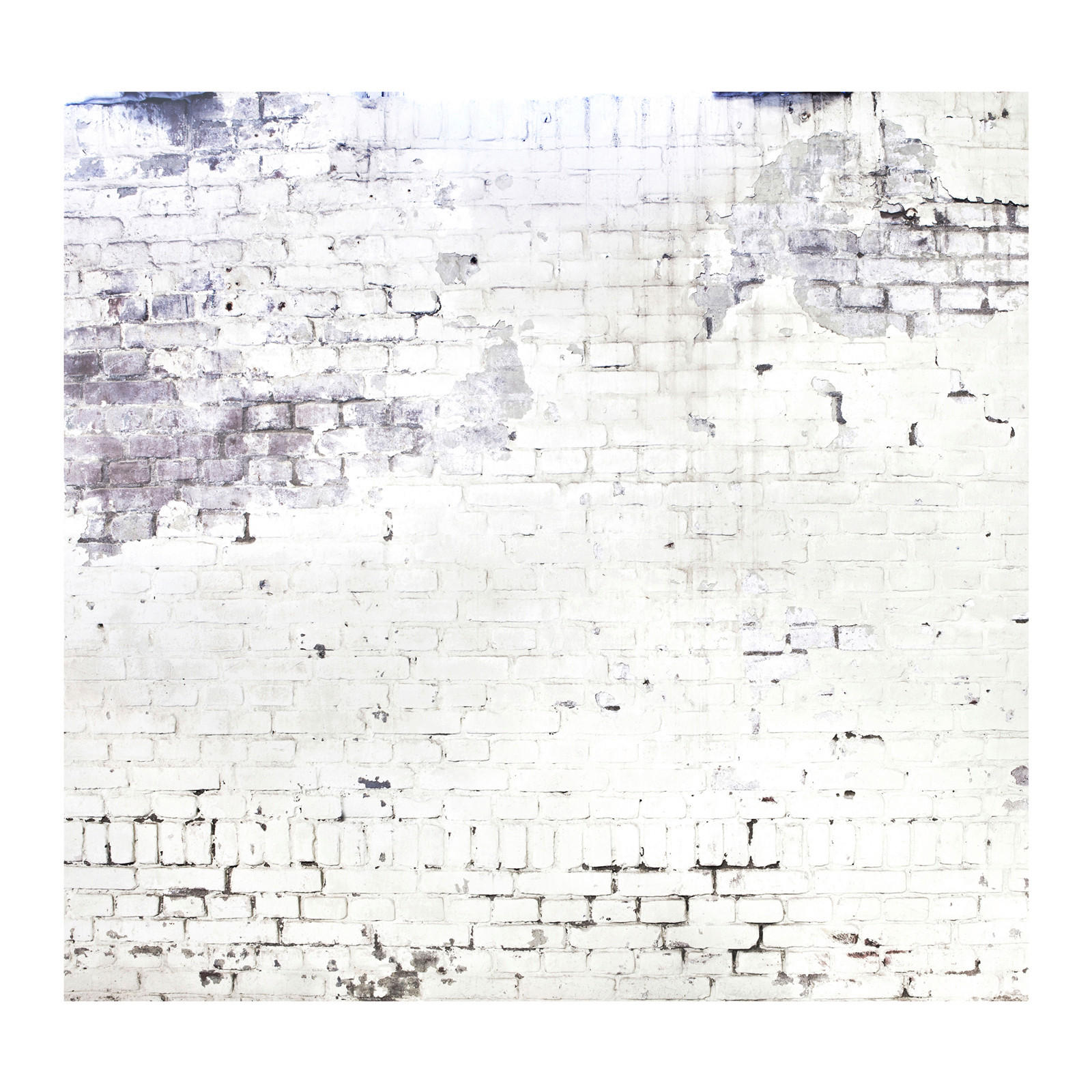 FOTOTAPETE VTWONEN  - Grau, Trend, Papier/Kunststoff (318/300/11cm)