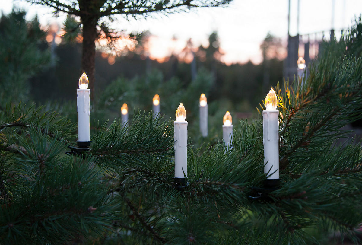 LED-KERZENSET  - Basics (2,5/5,0/13,0cm) - Eglo