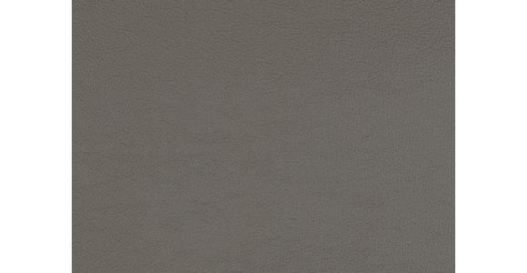 RELAXSESSEL in Leder Taupe  - Taupe/Edelstahlfarben, Design, Leder/Metall (76/119/86cm) - Dieter Knoll