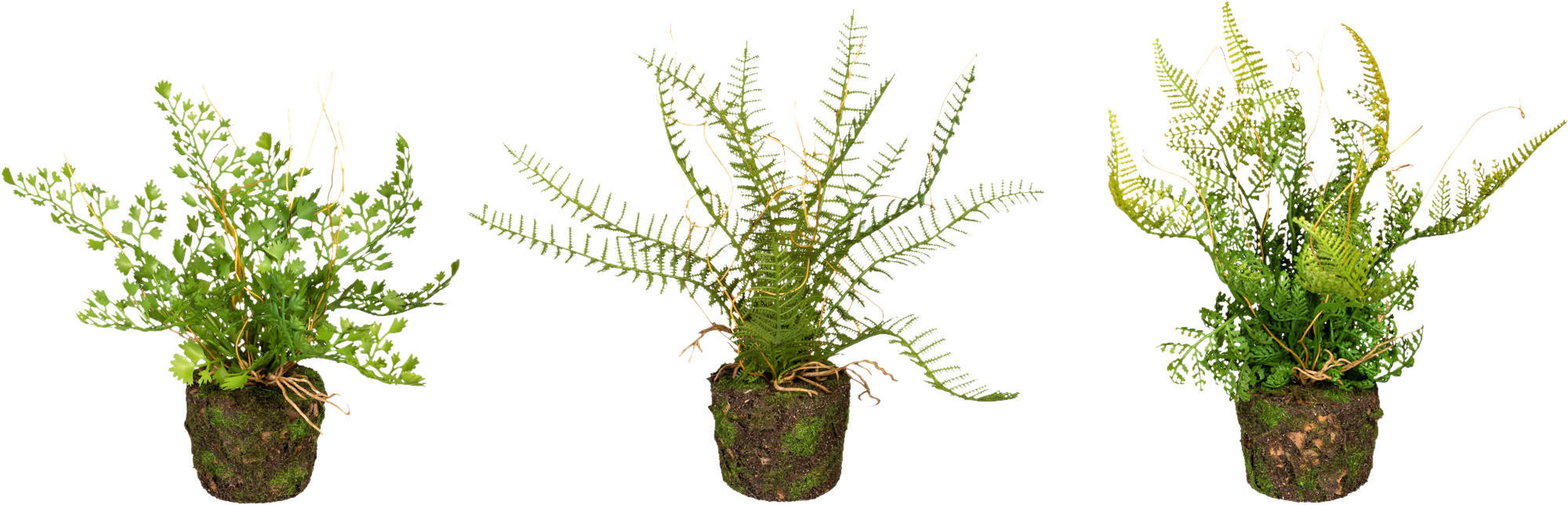 KUNSTPFLANZE 3 tlg. Farn 22 cm - Braun/Grün, Design, Kunststoff (22cm) - P & B