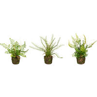 KUNSTPFLANZE 3 tlg. Farn 22 cm  - Braun/Grün, Design, Kunststoff (22cm) - P & B