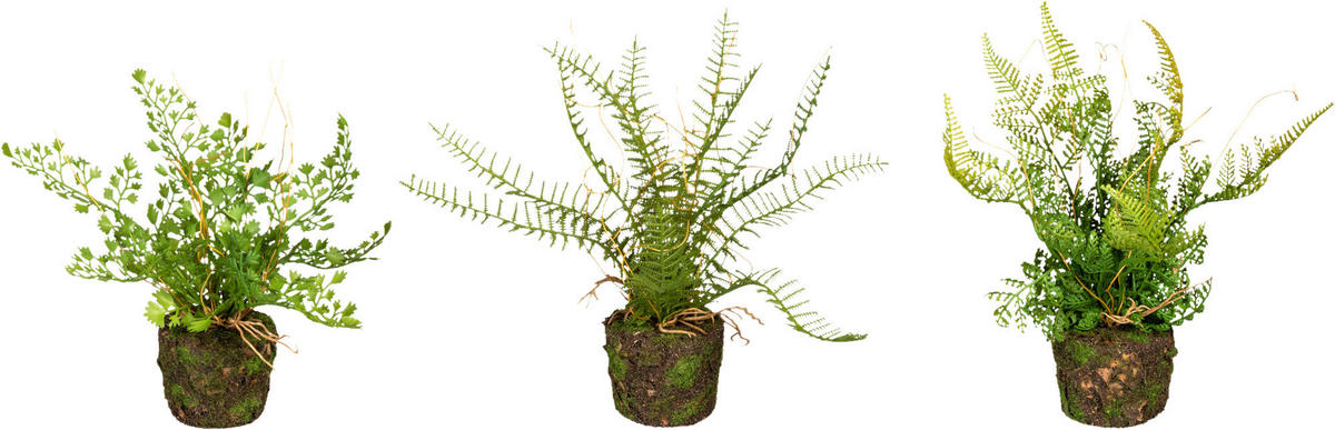KUNSTPFLANZE 3 tlg. Farn 22 cm  - Braun/Grün, Design, Kunststoff (22cm) - P & B