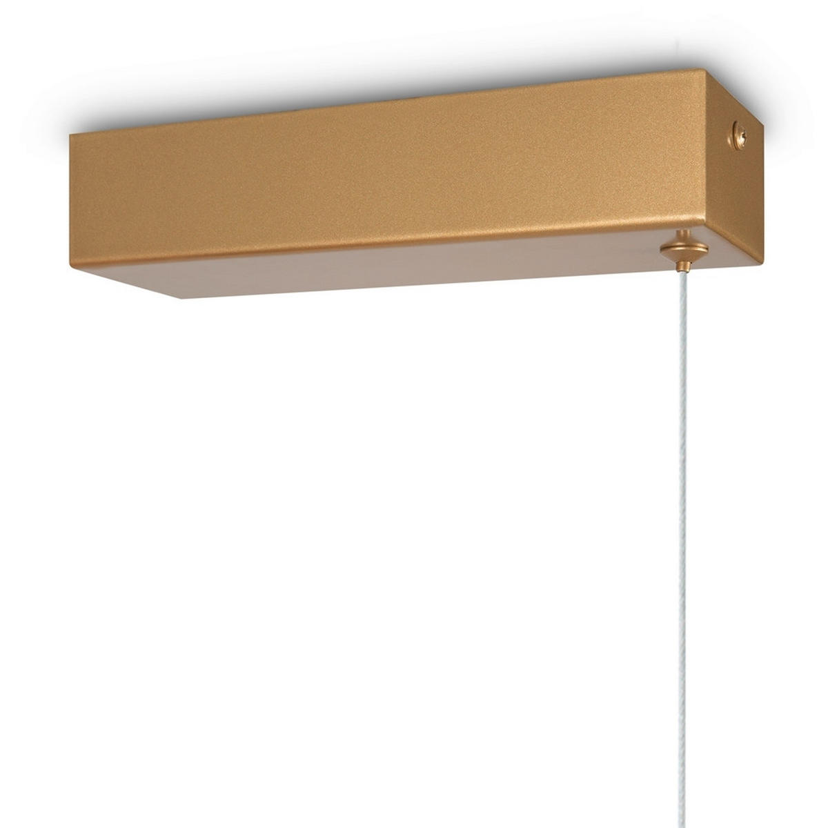 PENDELLEUCHTE 150/1,5/15,5 cm    - Messingfarben, Modern, Metall (150/1,5/15,5cm) - MAYTONI