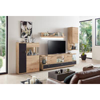 REGAL ZA DNEVNI BORAVAK boje hrasta, tamno siva   - srebrne boje/boje hrasta, Design, staklo/drvni materijal (324,6/204,2/45cm) - Stylife