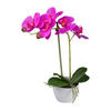 KUNSTPFLANZE Orchidee 33 cm  - Pink/Weiß, Design, Kunststoff (33cm) - P & B