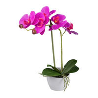 KUNSTPFLANZE Orchidee 33 cm  - Pink/Weiß, Design, Kunststoff (33cm) - P & B