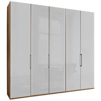 FALTTÜRENSCHRANK 250/216/58 cm 5-türig Weiß, Eiche Bianco  - Schieferfarben/Eiche Bianco, KONVENTIONELL, Glas/Holzwerkstoff (250/216/58cm) - Dieter Knoll