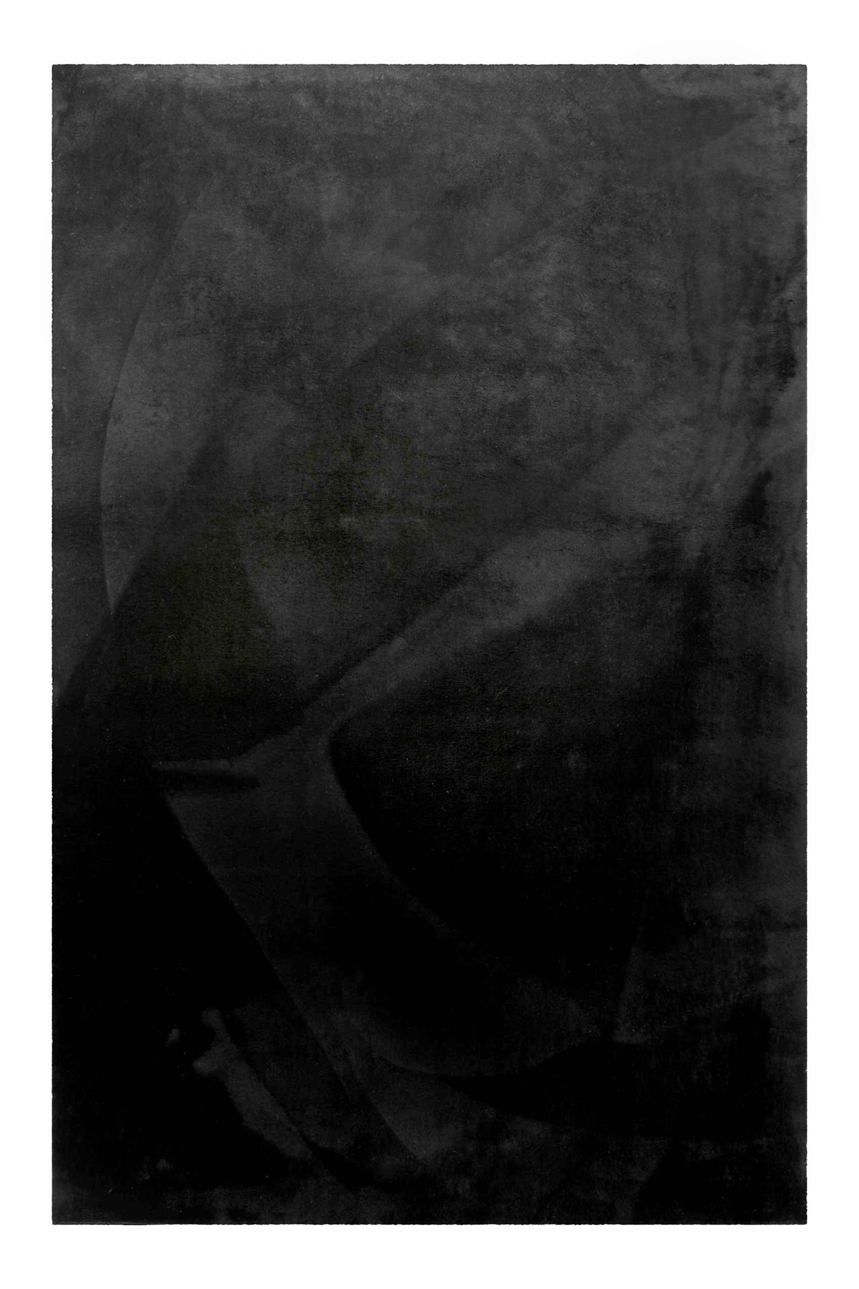 WEBTEPPICH  Wohnzimmer 133/200 cm Lago Schwarz rechteckig  - Schwarz, Basics, Textil (133/200cm)