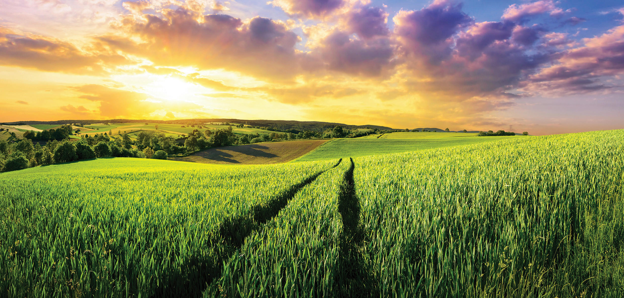 MALBA NA PLÁTNĚ, krajina a příroda, 115/55 cm  - vícebarevná, Natur, dřevo/papír (115/55cm) - Euroart