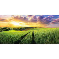 MALBA NA PLÁTNĚ, krajina a příroda, 115/55 cm  - vícebarevná, Natur, dřevo/papír (115/55cm) - Euroart