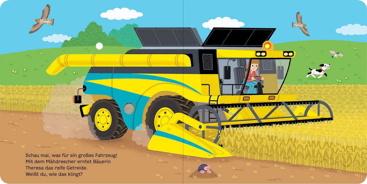 SOUNDBUCH - Basics (17,4/17,6/1,6cm)