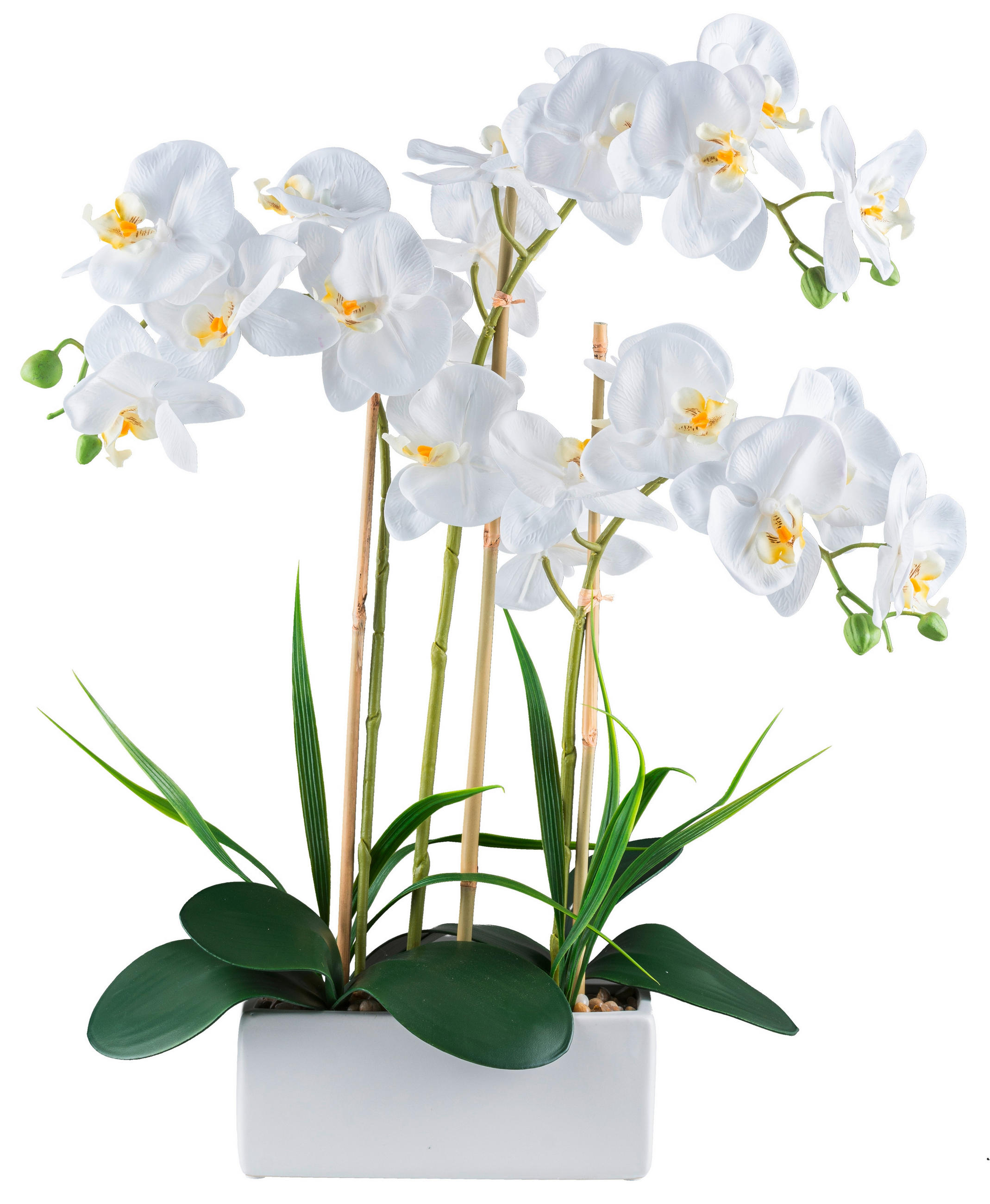 KUNSTPFLANZE 58 cm  - Weiß/Naturfarben, Basics, Keramik/Kunststoff (58cm) - Ambia Home