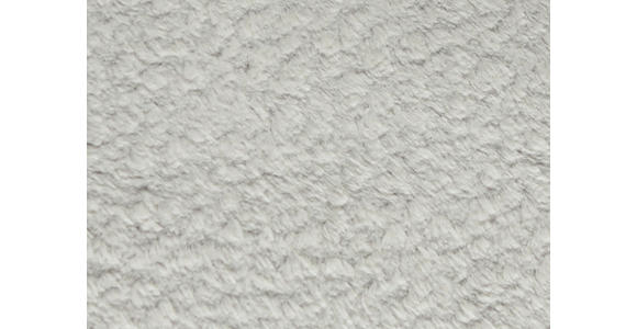 SESSEL in Teddystoff Hellgrau  - Hellgrau/Schwarz, Design, Textil/Metall (60/94/86cm) - Dieter Knoll