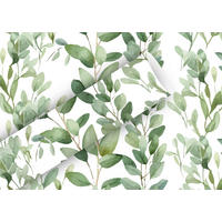 GESCHENKPAPIER  - Salbeigrün, Basics, Papier (4/70/4cm)