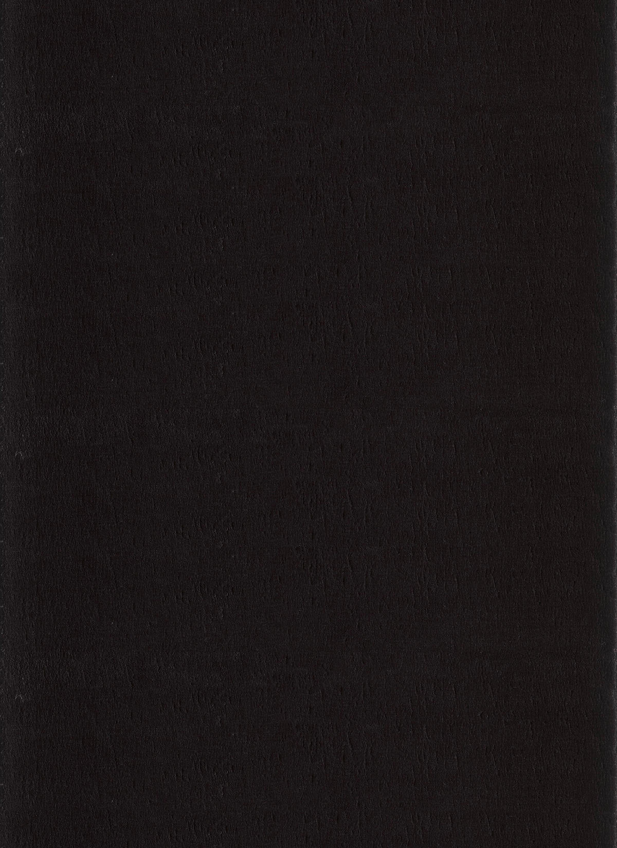 HOCHFLORTEPPICH 240/340 cm Catwalk  - Schwarz, Basics, Textil (240/340cm) - Novel