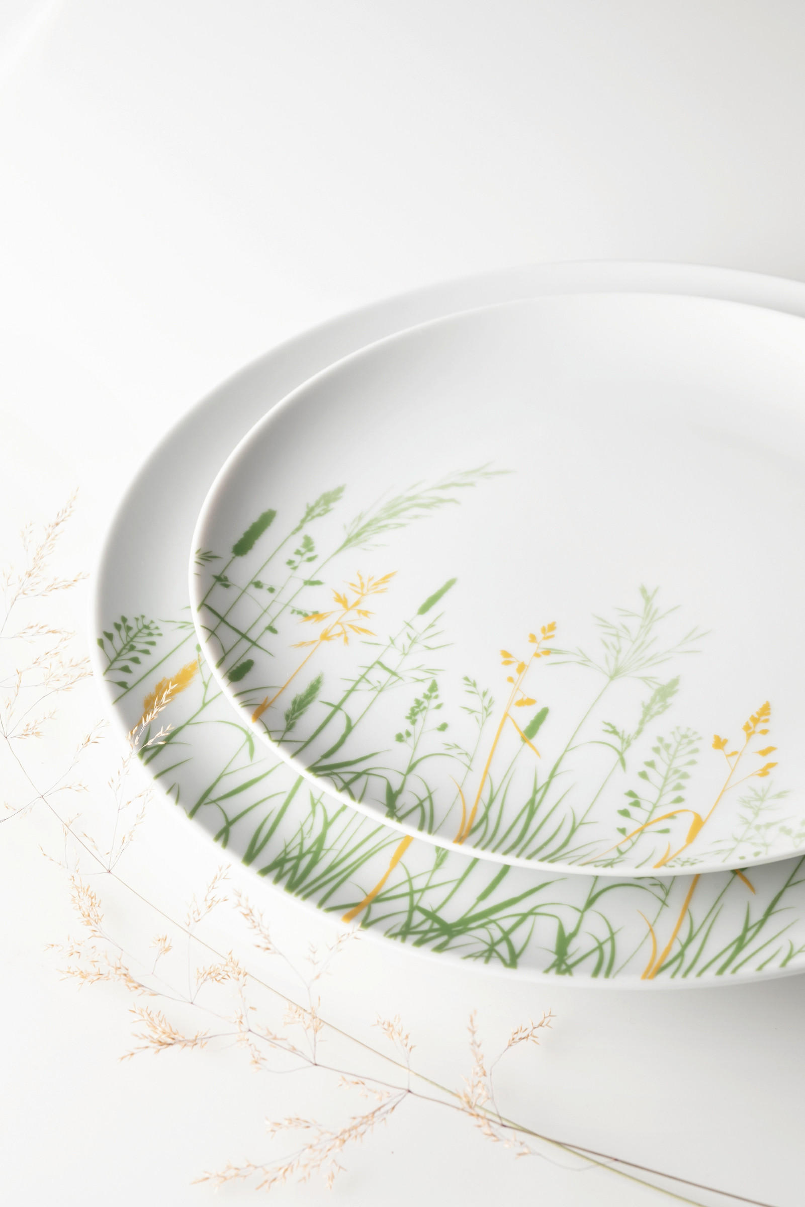 TANJIR ZA DORUČAK  22,5 cm           - zelena/bela, Osnovno, keramika (22,5cm) - Seltmann Weiden