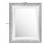 SPIEGEL 43,8/53,8/2,5 cm - Silberfarben, LIFESTYLE, Glas/Kunststoff (43,8/53,8/2,5cm) - Landscape SPIEGEL 43,8/53,8/2,5 cm - Silberfarben, LIFESTYLE, Glas/Kunststoff (43,8/53,8/2,5cm) - Landscape