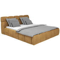 POLSTERBETT 160/200 cm  in Currygelb  - Currygelb/Schwarz, Design, Kunststoff/Textil (160/200cm) - Esposa