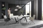ESSTISCH 220/110/75 cm Kunststoff, Keramik Anthrazit, Grau, Weiß, Beige oval  - Anthrazit/Beige, Design, Keramik/Kunststoff (220/110/75cm) - Dieter Knoll