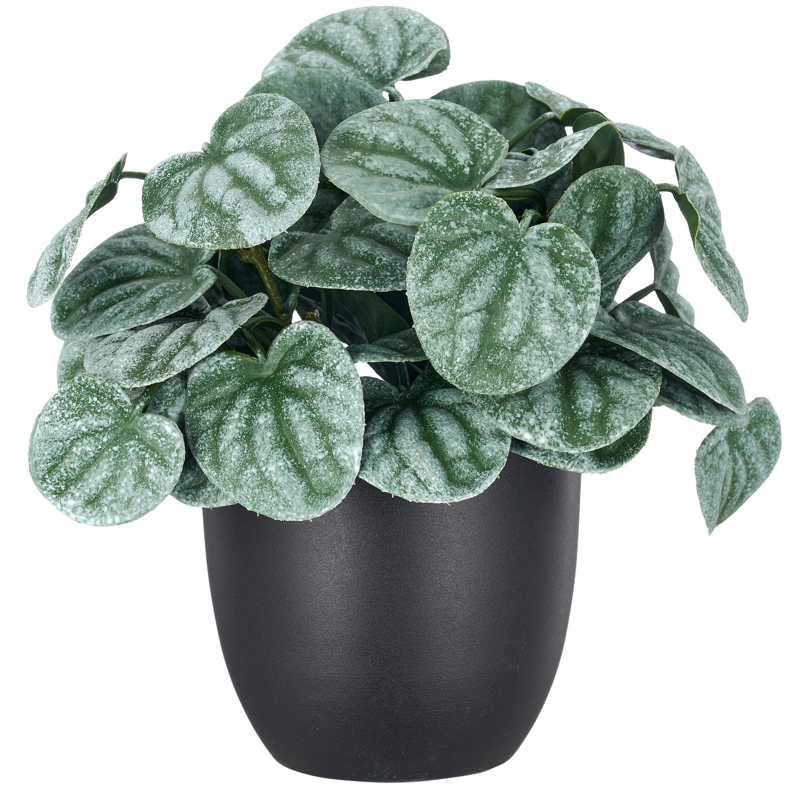 KUNSTPFLANZE 18 cm  - Schwarz/Grün, Basics, Kunststoff (18cm)