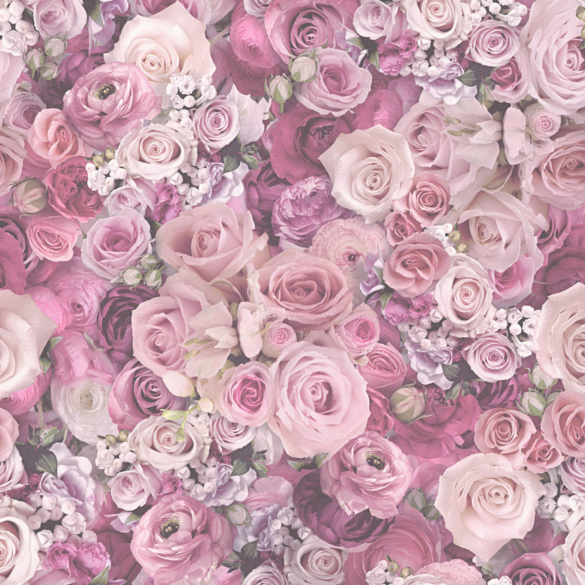 FOTOTAPETE  - Pink/Rosa, ROMANTIK / LANDHAUS, Textil (52/250cm)