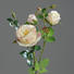 KUNSTBLUME - Pink/Creme, Basics, Kunststoff/Textil (60cm) KUNSTBLUME - Pink/Creme, Basics, Kunststoff/Textil (60cm)
