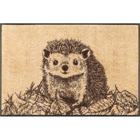 FUßMATTE  50/75 cm  Multicolor  - Multicolor, Natur, Kunststoff/Textil (50/75cm) - wash+dry