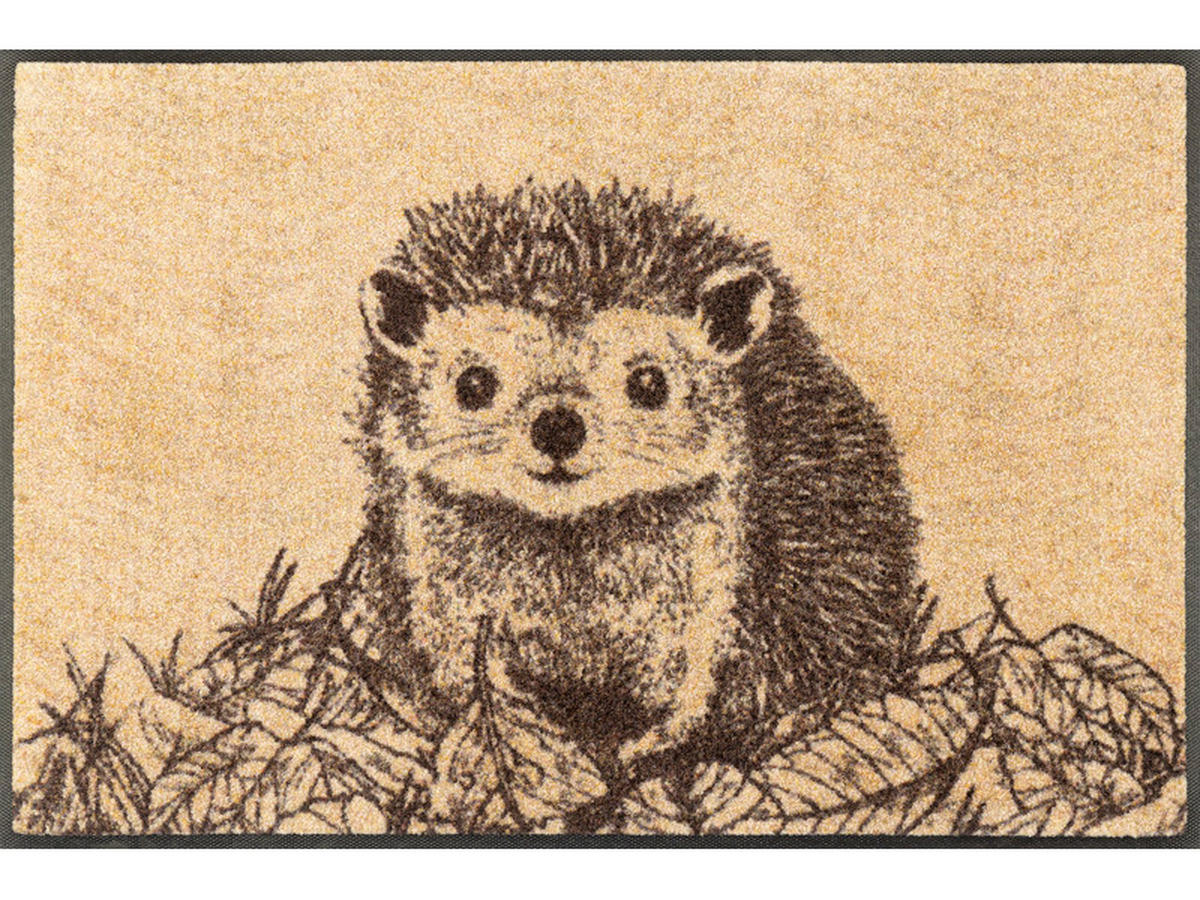 FUßMATTE  50/75 cm  Multicolor  - Multicolor, Natur, Kunststoff/Textil (50/75cm) - wash+dry