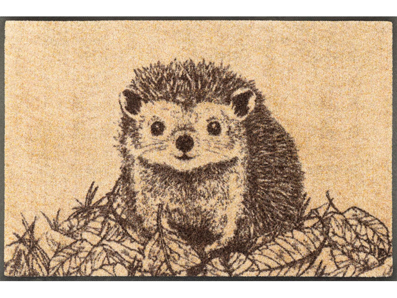 Covoraș De Intrare 50/75 cm