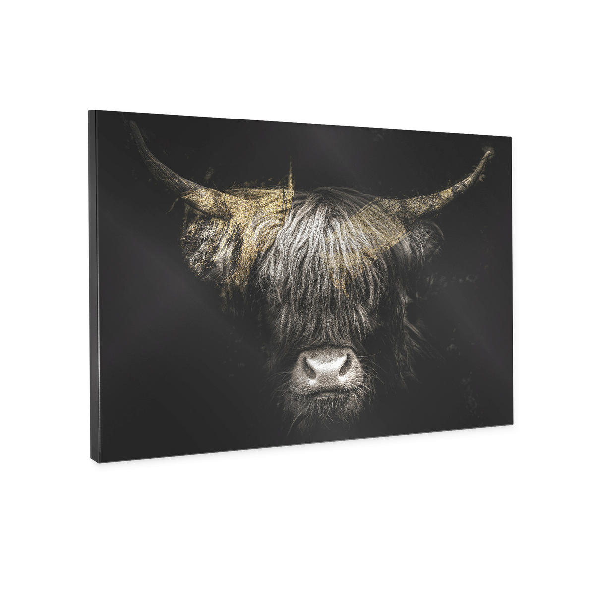 LEINWANDBILD Tiere 85/113 cm  - Multicolor/Schwarz, Basics, Holz/Textil (85/113cm)