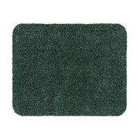 FUSSMATTE  60/75 cm  Grün  Struktur  - Grün, KONVENTIONELL, Kunststoff/Textil (60/75cm) - Astra