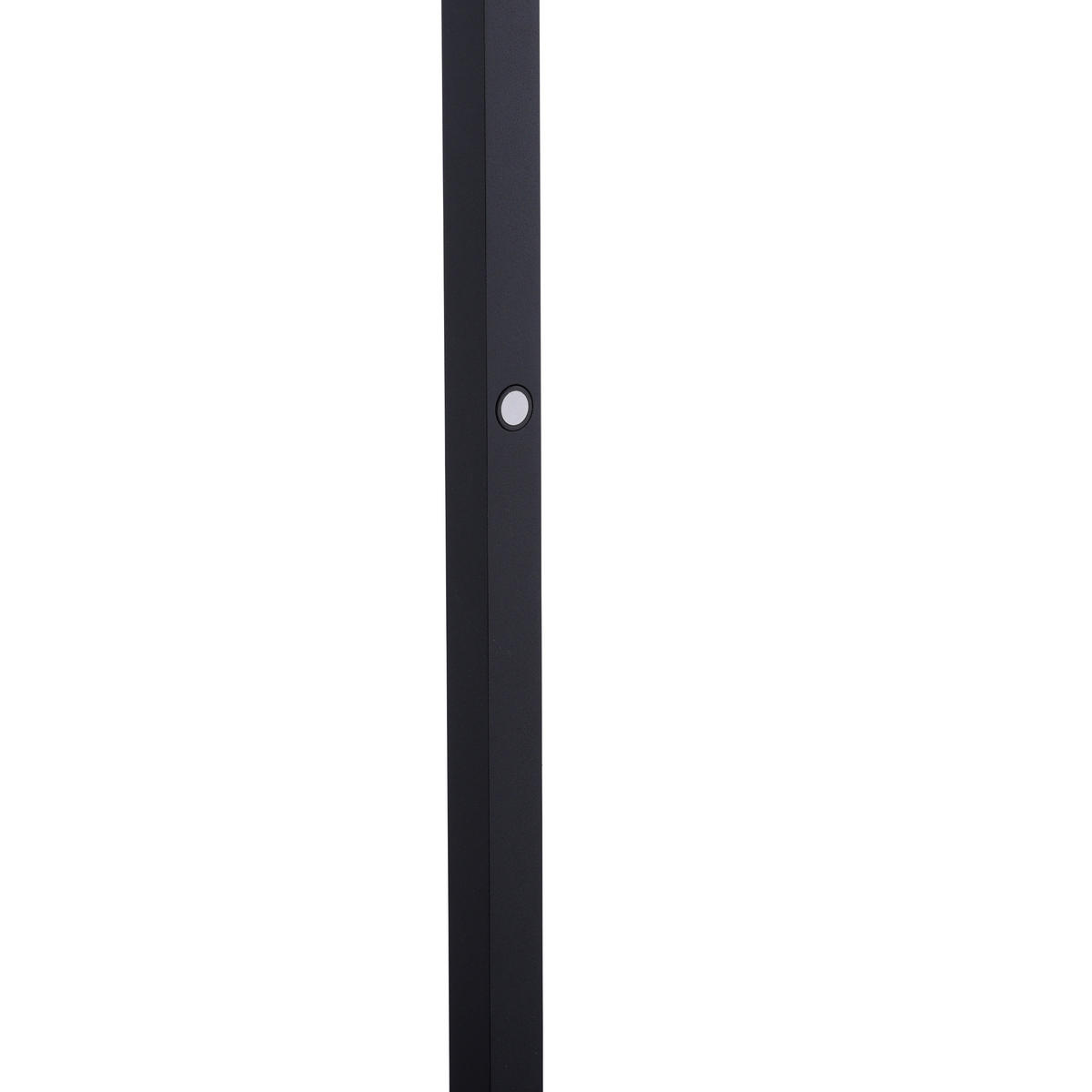 LED-STEHLEUCHTE - Schwarz, Design, Kunststoff/Metall (25/20,2/178cm) - Neuhaus PURE