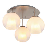 TAKLAMPA BARRY 41/28.5 cm  - klar/vit, Basics, metall/glas (41/28.5cm) - Globo