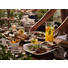 STEAKTELLERSET 30/29 cm - Creme, KONVENTIONELL, Keramik (30/29cm) - Villeroy & Boch STEAKTELLERSET 30/29 cm - Creme, KONVENTIONELL, Keramik (30/29cm) - Villeroy & Boch