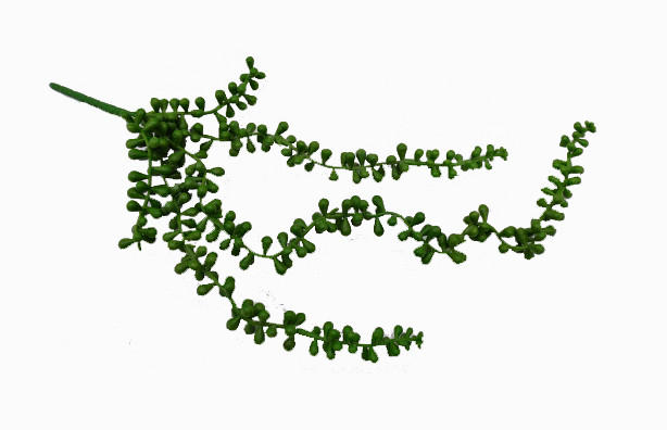 SUKKULENTE 56 cm  - Grün, Basics (56cm)