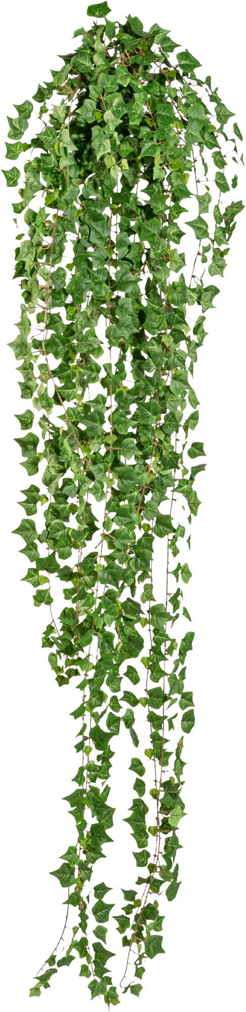 KUNSTPFLANZE Efeu 180 cm  - Grün, Design, Kunststoff (180cm)