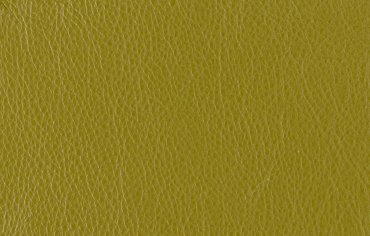 RELAXSESSEL in Leder Hellgrün  - Edelstahlfarben/Hellgrün, Design, Leder/Metall (92/79/90cm) - Koinor