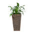 PFLANZTOPF - Dunkelbraun, LIFESTYLE, Kunststoff/Weitere Naturmaterialien (27 27 52cm) - Landscape PFLANZTOPF - Dunkelbraun, LIFESTYLE, Kunststoff/Weitere Naturmaterialien (27 27 52cm) - Landscape